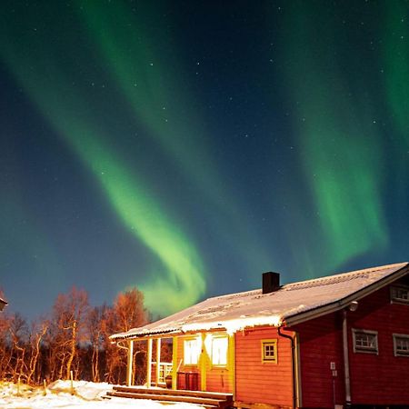 Trivelig Hytte I Senja. Buitenkant foto
