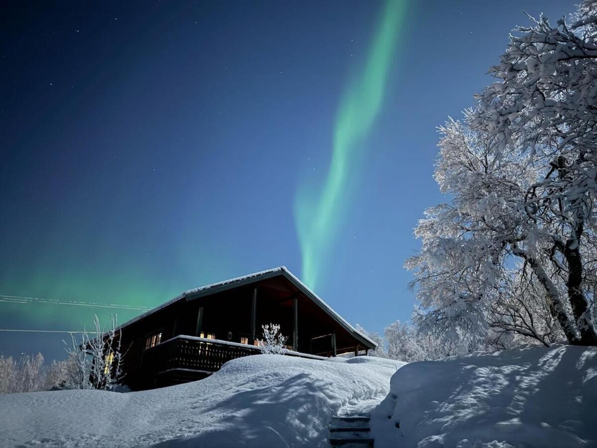 Trivelig Hytte I Senja. Buitenkant foto