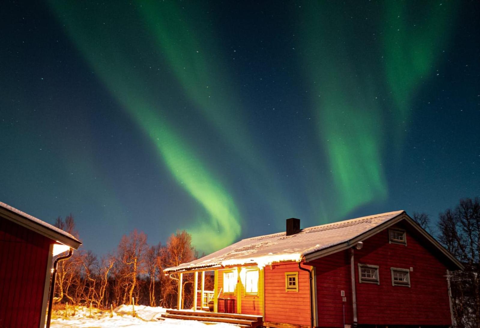 Trivelig Hytte I Senja. Buitenkant foto