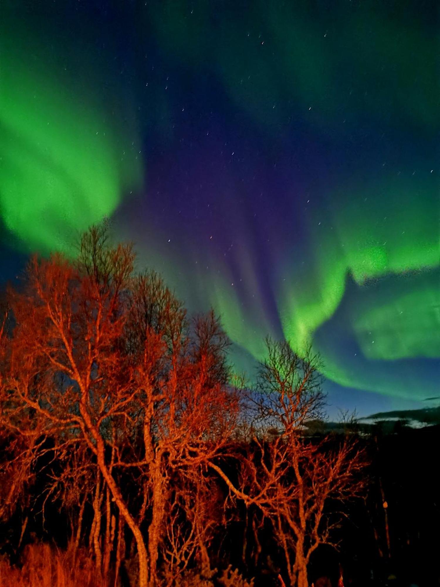 Trivelig Hytte I Senja. Buitenkant foto