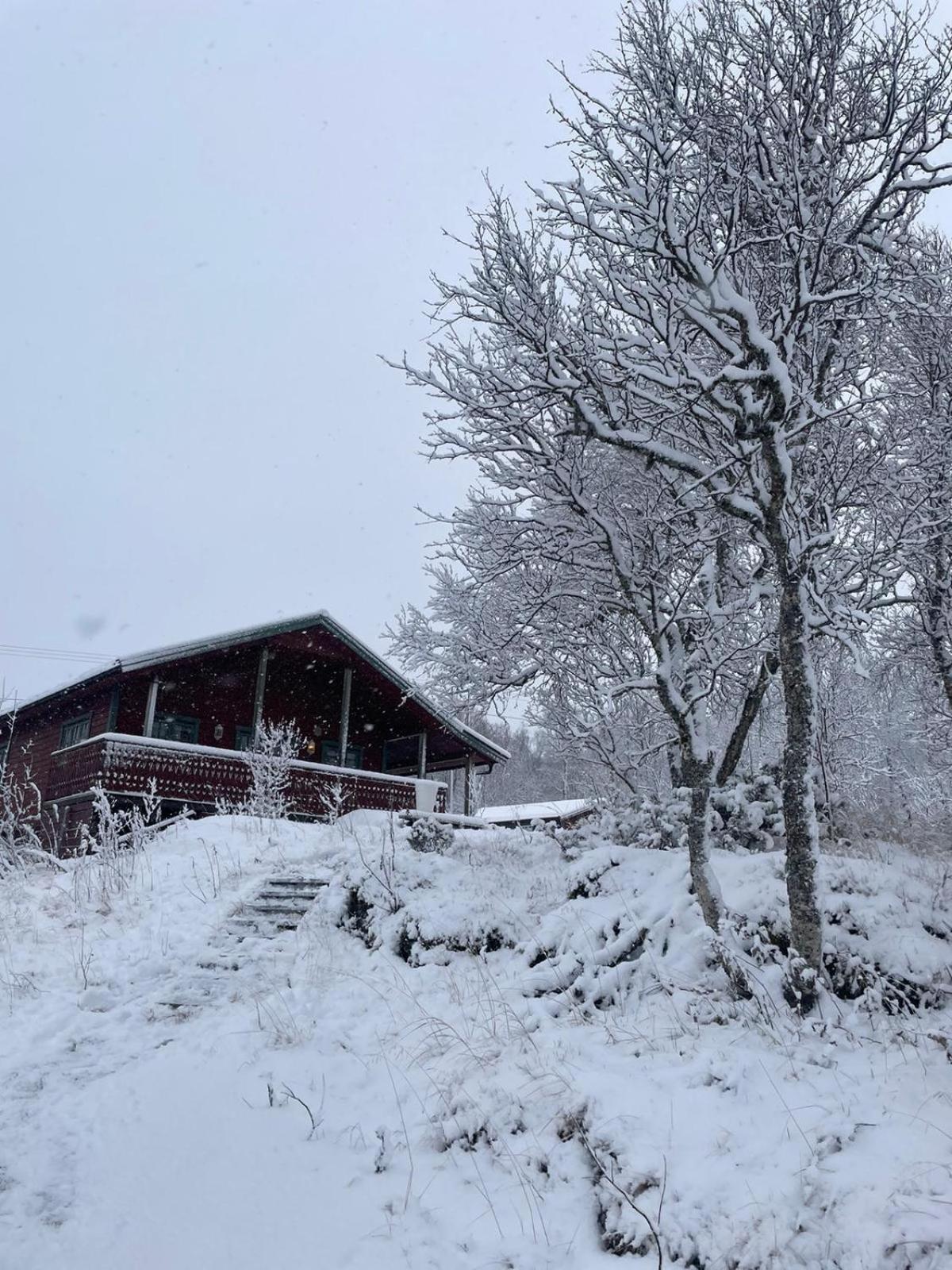 Trivelig Hytte I Senja. Buitenkant foto